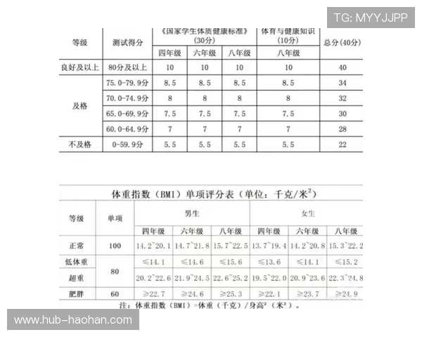 全面解析不同体育项目场地的标准尺寸与建设规范，确保比赛公平公正